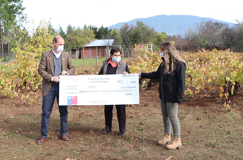  INDAP ha realizado diversas acciones para fortalecer el rubro vitivinícola en el Valle del Itata