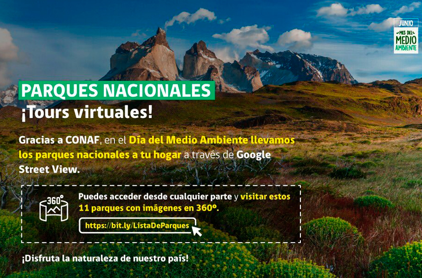  Celebración del día del Medio Ambiente en la Región de Ñuble