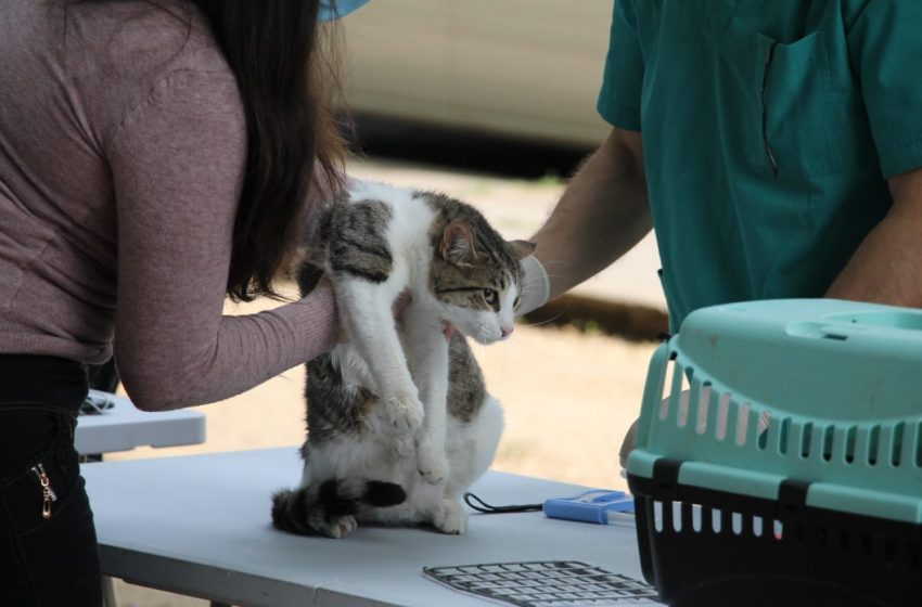  Plan «Mascota Protegida» llegará a la localidad de San Miguel en San Ignacio