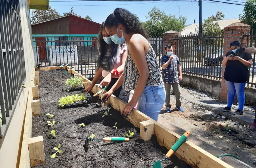  Estudiantes de Santo Tomás Chillán impulsan la creación de huertos urbanos en Chillán