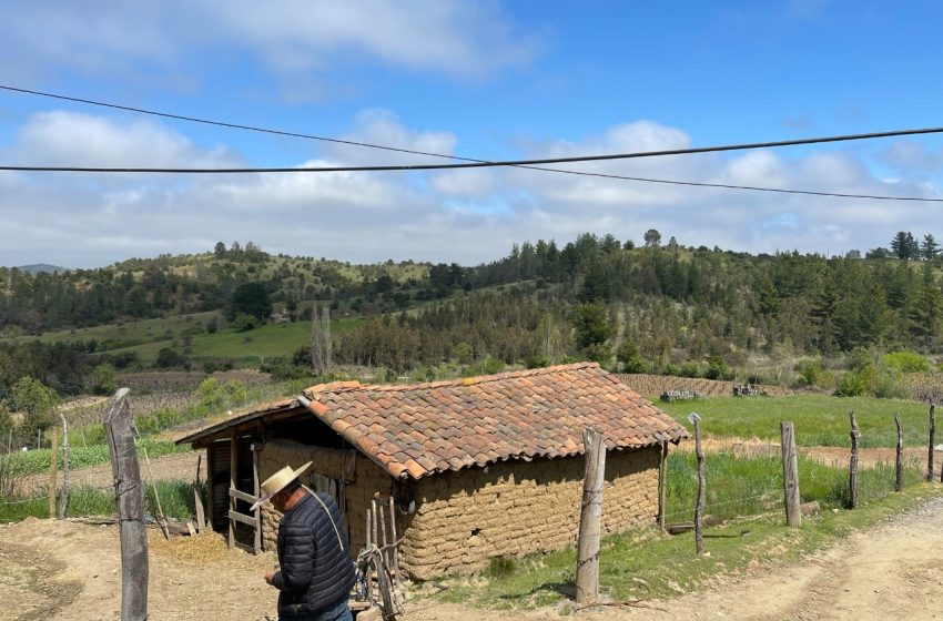  Dirección Regional de Patrimonio realizará su primer seminario