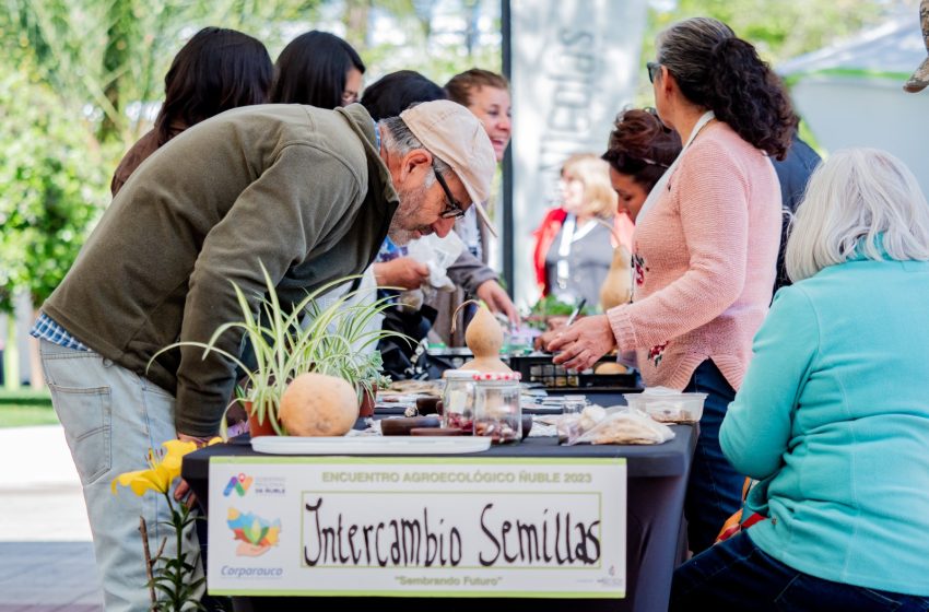  3.000 personas fueron parte del Encuentro Agroecológico Ñuble 2023 en San Nicolás